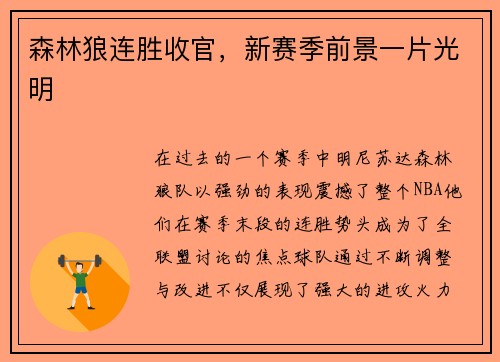 森林狼连胜收官，新赛季前景一片光明